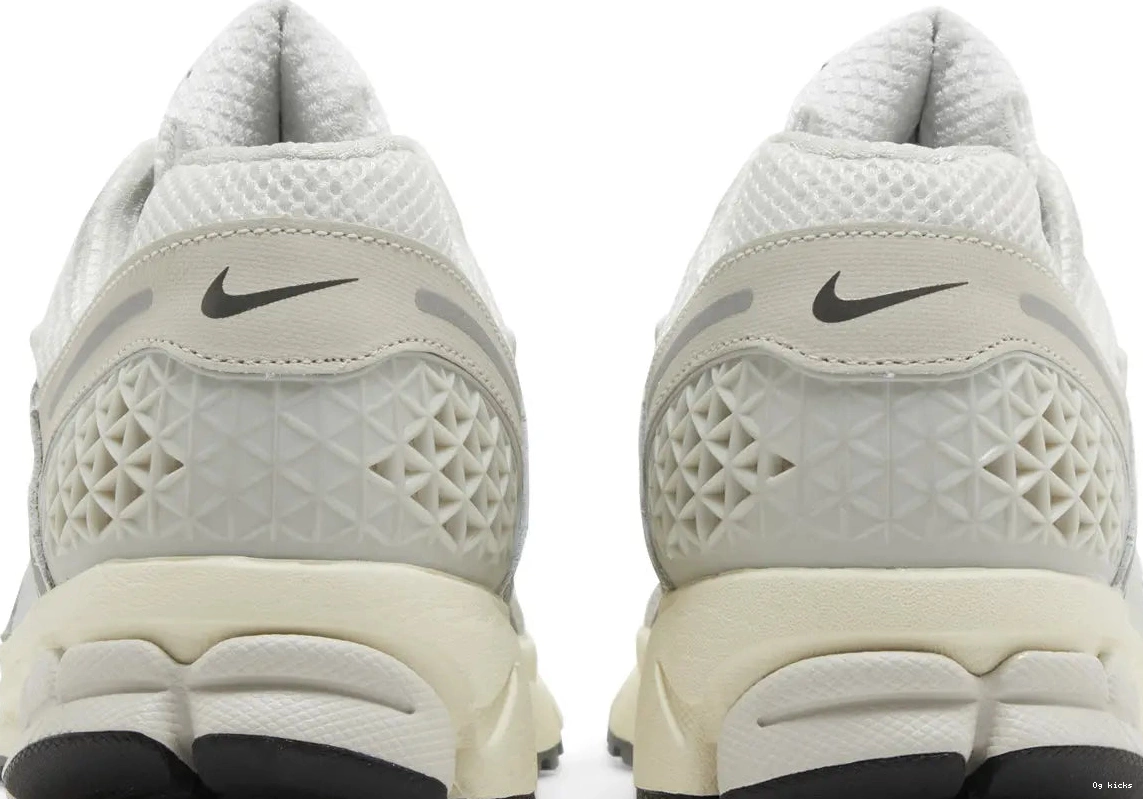 Platinum Tint Vomero Zoom 5 Nike 0602
